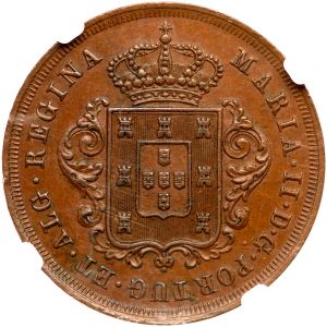 Madeira G100-2730r.jpg