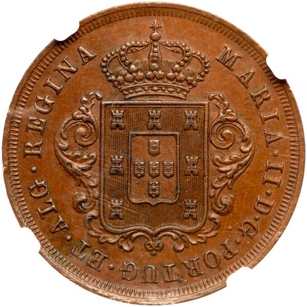 File:Madeira G100-2730r.jpg