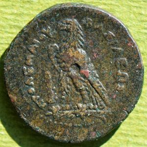 Egypt pix 20r.jpg