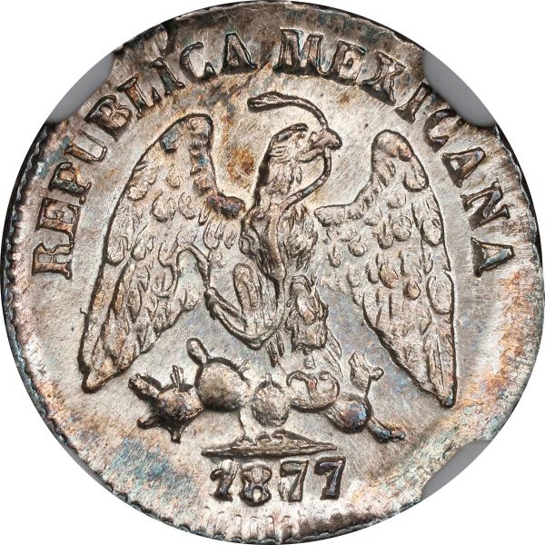 File:SB1025-71194o.jpg