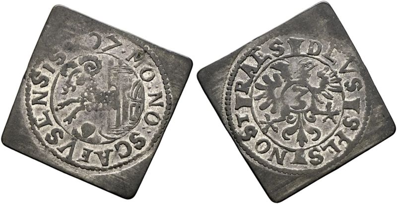 File:Sincona91-3418.JPG