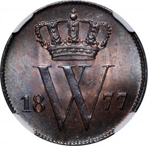 SB1021-71774r.jpg