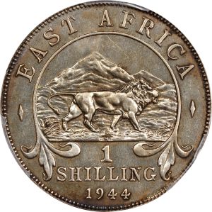 SB525-74555r.jpg