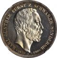 Thumbnail for version as of 17:17, 23 January 2021